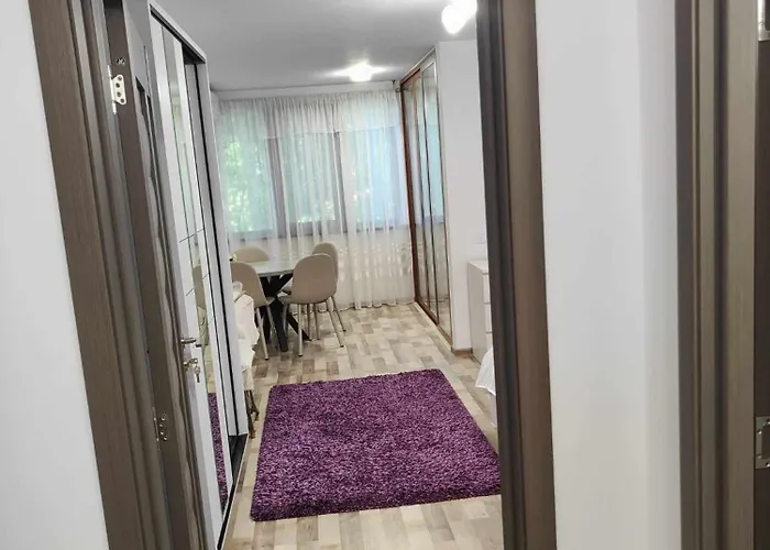 A2 One Room Apartament